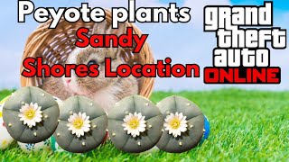 Peyote Plant Location GTA V Online  Sandy Shore Area [upl. by Neelhtac]