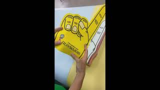 ATXJS104 Eva Palm Cheering Foam Finger Sleeves [upl. by Aitnwahs]