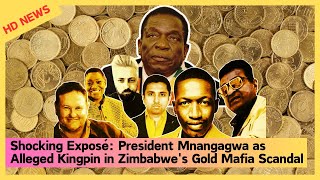 Shocking Exposé President Mnangagwa as Alleged Kingpin in Zimbabwes Gold Mafia Scandal [upl. by Cozza]