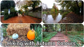 UK 🇬🇧 Guildford Hiking 🥾⛰️🚶‍♂️ With Autumn 🍂 Fall Colours  Circular Trail Part  I [upl. by Chaffinch529]