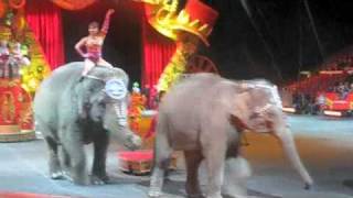 Ringling Bros [upl. by Mashe]