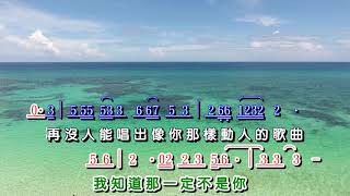 可可托海的牧羊人 DJ伴奏版 歌詞簡譜 [upl. by Palm224]