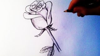 How to Draw a Rose  Easy tutorial [upl. by Hellah]