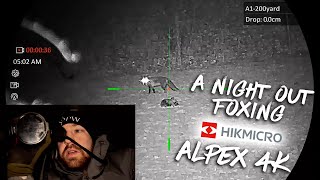 A Night Out Foxing With The HIKMICRO Alpex LRF 4K [upl. by Sirotek422]