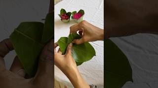 Ecofriendly leaf cups 🍃 jackfruitleafcups ecofriendlycups diy bananaleafcups [upl. by Lrac774]