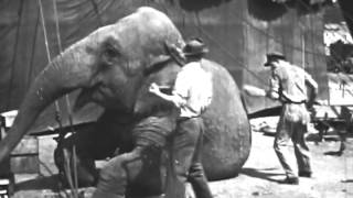 Circus Animals 1947 [upl. by Shani302]