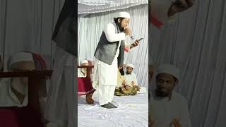 Hai Nabi Ke ham Aashiq नबी के आशिक sorts naat qari [upl. by Akemrej746]