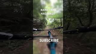 DOWNHILL  RAINE TRAIL  NAGARKOT  MOUNTAIN BIKING IN NEPAL 🇳🇵 rakeshlama shorts mtb nepal [upl. by Atinihs675]