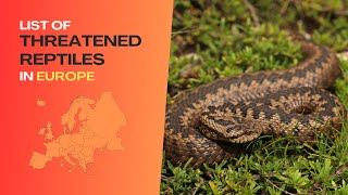 List of Threatened Reptiles in Europe  Included in The IUCN Red List [upl. by Ananna]