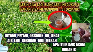 BIKIN GEGER PEMBUAT ORGANIK CAIR CUCIAN BERAS JADI MERAH 1 BIANG BIKIN LEBAT SEMUA TANAMAN [upl. by Hamilah]