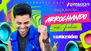 LUANZINHO  REPERTÒRIO NOVO  MÙSICAS NOVAS  FEVEREIRO  CARNAVAL  2024 CD COMPLETO [upl. by Onitsuaf]