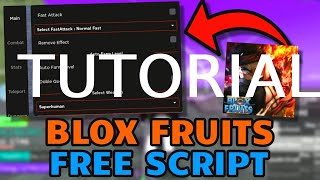 How to Execute Blox Fruit SCRIPTS [upl. by Brena]