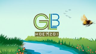 GLBpilot Hoe Zo [upl. by Calysta]