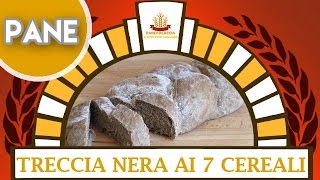 Treccia Nera ai 7 Cereali [upl. by Abixah908]