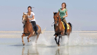 Reiten am Meer in Tunesien mit PFERD amp REITER [upl. by Amelina]