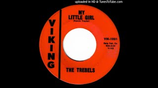 The Trebels  My Little Girl [upl. by Groscr365]