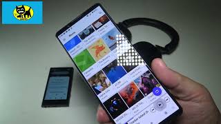 Sony Xperia 1 V  Does it live up to the Sony NWA306 Lets talk features and VOLUME [upl. by Cai]