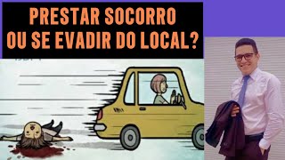 Prestar socorro ou se evadir do local [upl. by Ahsikar336]