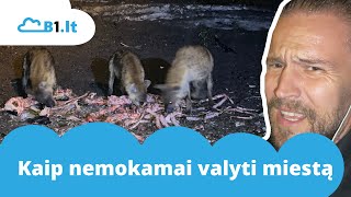 Kaip nemokamai valyti miestą [upl. by Aivatal]