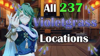 All 237 Violetgrass Locations  Baizhu Qiqi Xinyan Ascension Material FastEfficient Farming Route [upl. by Goodwin66]