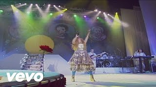 Elba Ramalho  Sabiá Ao Vivo [upl. by Ehlke388]