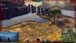 GW2  Vaanss Warrior  Easy DAMAGE  WvW Roaming [upl. by Llemaj]