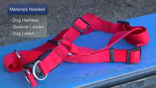 How to Put on Dog Harnesses [upl. by Jaquelin]