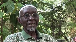 Xarebi 75  Interview Ismaïla Diakhaté  de Mao à Mahomet [upl. by Ecienal]