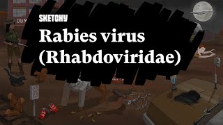 Rabies Virus Rhabdoviridae Pathogenesis and Prevention Part 1  Sketchy Medical  USMLE Step 1 [upl. by Ajiat566]