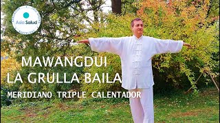 Qigong Mawangdui La Grulla Baila [upl. by Bindman]