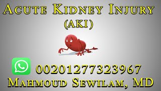 شرح د سويلم Acute Kidney Injury ARF [upl. by Mcroberts]