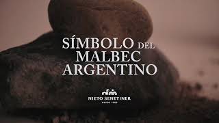 Símbolo del Malbec Nieto Senetiner verdadero símbolo del Malbec Argentino [upl. by Bethina767]