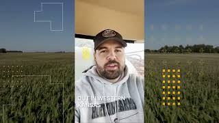 Get FieldView Tips From the Pros [upl. by Lirva812]