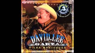 David Lee Garza y Los Musicales Vivo Enamorado De Ti [upl. by Selene]