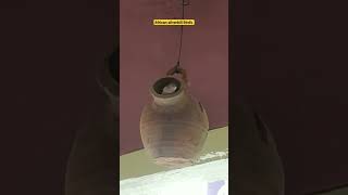 African silverbill Bird 🐦silverbird silverbill Bird viral viralvideo [upl. by Kcirdnekel]