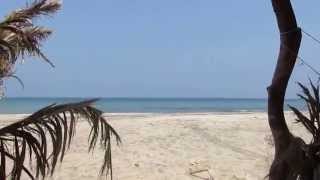 The Beach in Berbera Somaliland [upl. by Pall]