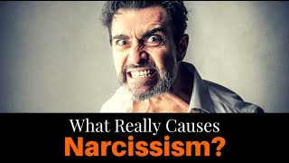 What Really Causes Narcissism [upl. by Atiz403]