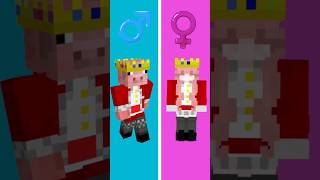 Minecraft Boys vs Girls  The Musical  shorts [upl. by Simmons]