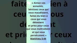 LA BIBLE✨ÉVANGILE SAINT MATTHIEU 544 [upl. by Lilah]