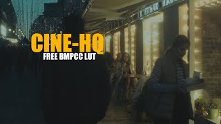 BMPCC ORIGINAL FREE CINEMATIC LUT [upl. by Lulu]