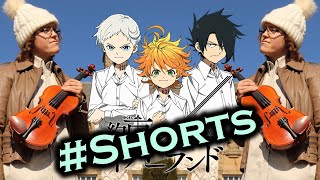 Isabellas Lullaby The Promised Neverland OST Violin Cover  Anime Music for Study amp Sleep Shorts [upl. by Mcquade44]