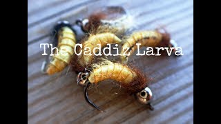 Caddiz Larva [upl. by Annie]