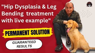 Hip Dysplasia and Leg Bending In Dogs  By Baadal Bhandaari [upl. by Nivart]