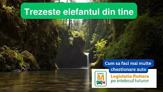 Cum sa iti gasesti motivatia Cum sa faci mai multe chestionare auto [upl. by Nirehs285]