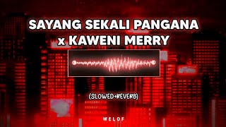 DJ Sayang Sekali Pangana x Kaweni Merry slowedreverb [upl. by Sirrad]