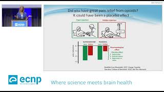 Prof Siri Leknes on how opioids shape our feeling correcting understanding 2392024 [upl. by Etnomal]