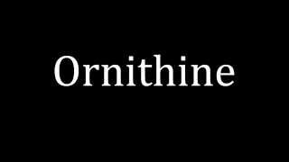 How to pronounce Ornithine [upl. by Fiann]