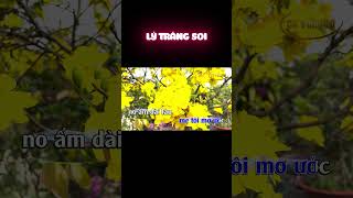 KARAOKE LÝ TRĂNG SOI VỌNG CỔ HƯƠNG XUÂN karaokecavongco shorts [upl. by Aneram301]