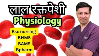 Physiology of Red blood cell  लाल रक्तपेशी मराठीमध्ये [upl. by Kraul]