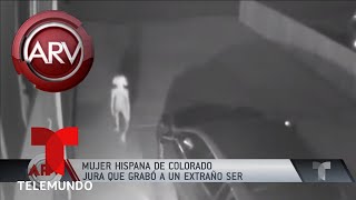 Mujer hispana asegura que grabó a un extraterrestre  Al Rojo Vivo  Telemundo [upl. by Ellekcir]